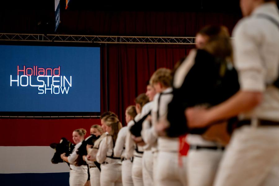 competitie Young Breeders HHH-show 2025