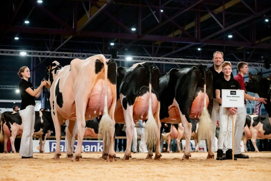 Onder meer de vaarzenkampioene Bons-Holsteins Roza 85 (rechts) maakte deel uit van de winnende bedrijfsgroep van Bons-Holsteins uit Ottoland