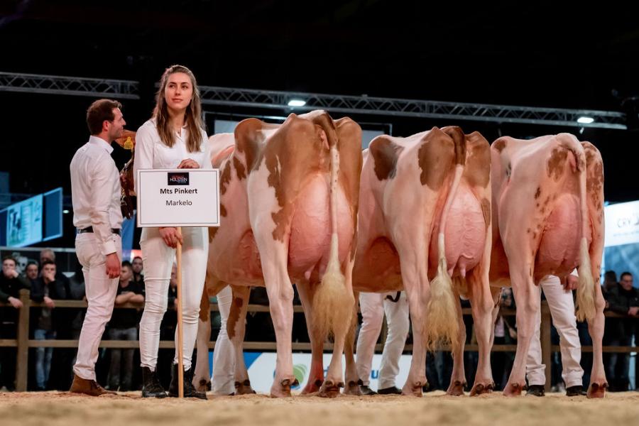 Voor de vierde keer op rij stelde de familie Pinkert uit Markelo de beste roodbonte bedrijfsgroep samen op de Holland Holstein sHow