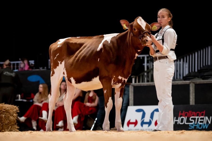 Zarènde Gunnink werd uitgeroepen tot beste Young Breeder bij de junioren