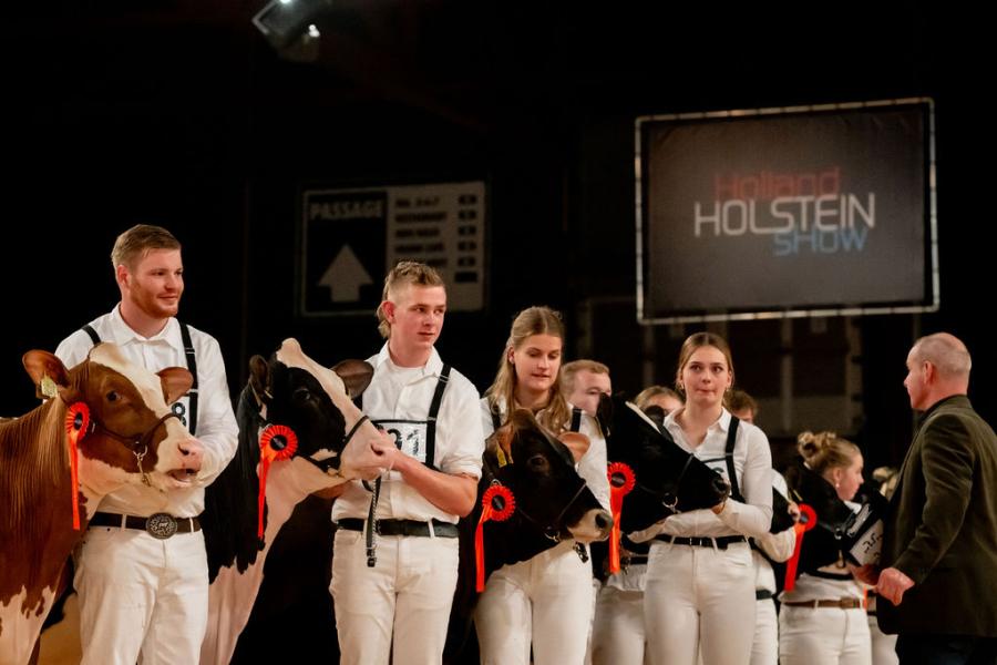 competitie Young Breeders HHH-show 2025