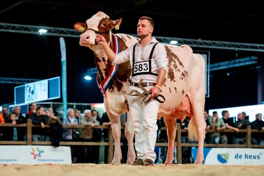 Een nationale titel won ze nog niet eerder, maar nu lukte het Heerenbrink Dolly Rae (v. Jordy) van de familie Steegink uit Okkenbroek wel. Ze pakte de seniortitel en het algemeen kampioenschap