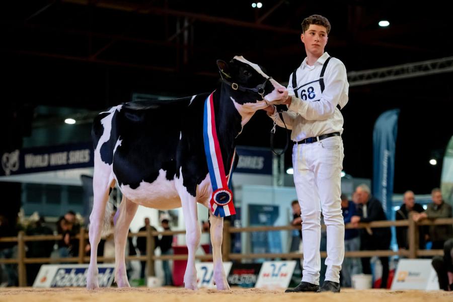 competitie Young Breeders HHH-show 2025