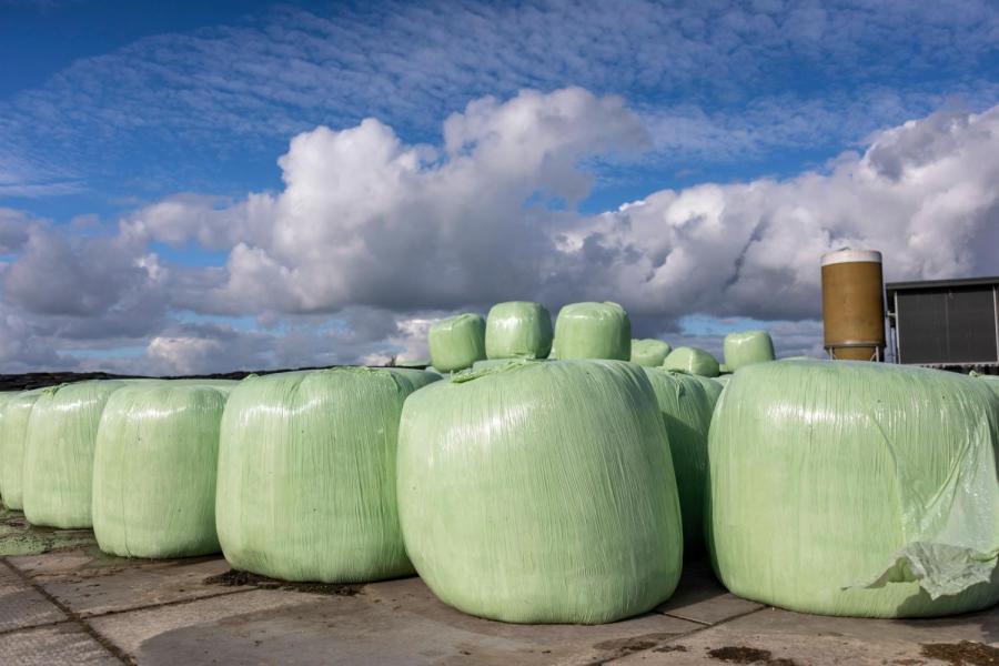 Mulder heeft op afstand zeven hectare kruidenrijk grasland, dat in balen gaat