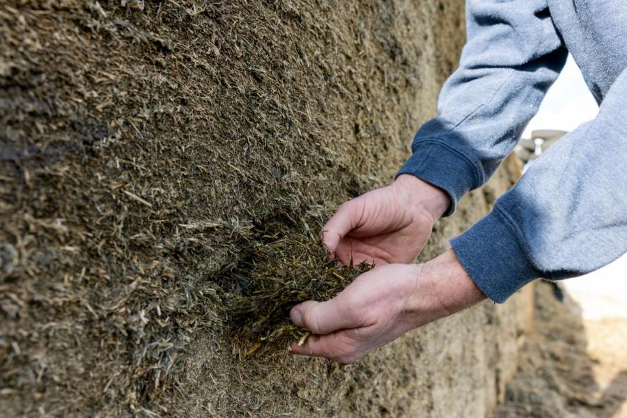 De Drentse melkveehouders kuilen de eerste, tweede en derde snede gras over elkaar heen