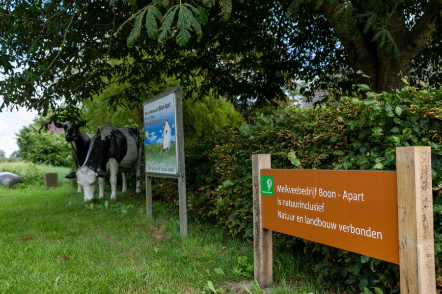 Onder meer door samenwerking met Staatsbosbeheer hebben de veehouders nu 250 hectare in gebruik, waarvan een groot deel met uitgestelde maaidatum en verhoogd waterpeil 