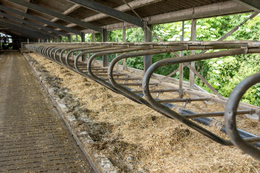 Een deel van het gras met uitgestelde maaidatum gebruiken de veehouders nu als strooisel in de diepstrooiselboxen en in de afkalfstal. Na het uitmesten maken ze daarvan compost, die met een vastemeststrooier over het land wordt uitgereden