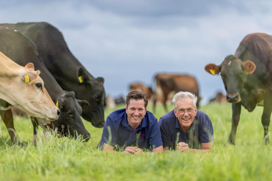 In het Friese veenweidegebied hebben Kees en Rik Boon een melkveebedrijf met 230 melkkoeien en 100 stuks jongvee
