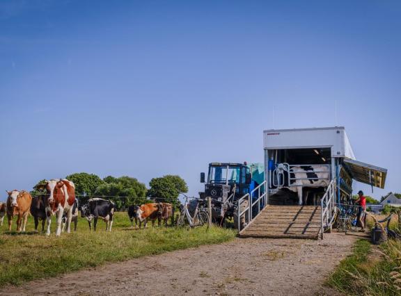 Melkveehouders Dirk en Isabella Gravesteyn melken jaarrond met de mobiele melkwagen