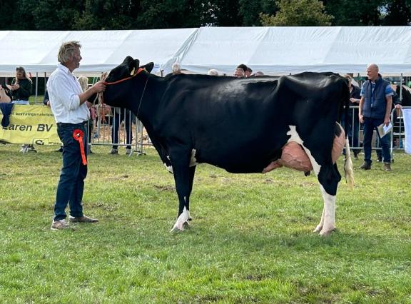 Na het algemeen kampioenschap in Lochem eerder dit jaar zegevierde Wiebrichje 81 (v. Rubels) nu ook in Laren