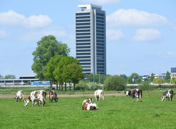 Met 5800 hectare was het verlies aan landbouwgrond het grootst in de provincie Noord-Brabant