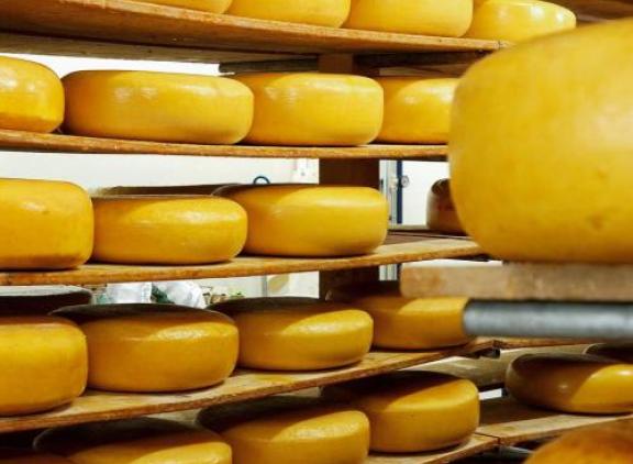 Kaas was met een waarde 1,1 miljoen euro het meest ingevoerde zuivelproduct