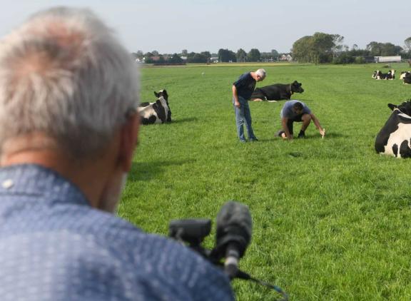 In de competitie Beste Graslandboer gaan jury en publiek op zoek naar boeren met een hart voor gras