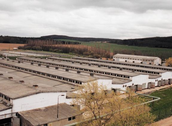 Ongeveer 20 procent van de bedrijven in het oosten van Duitsland werkt nog met stallen uit het DDR-tijdperk