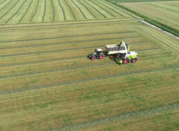 Het graslandareaal daalde tot 2005 met 126.000 hectare in Nederland en met 35.000 hectare in Vlaanderen