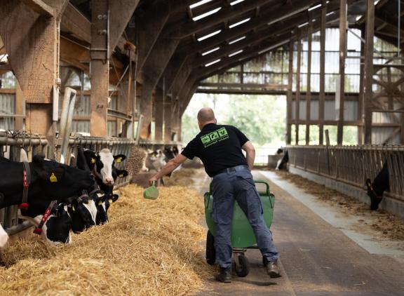 De Duitse melkveehouders Wiljan en Gisela Meilink houden 220 melkkoeien in Hoogstede