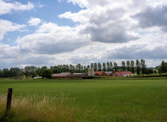 Een hectare Vlaamse landbouwgrond kostte in de eerste helft van 2023 ruim 66.000 euro