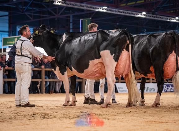 Het algemeen kampioenschap zwartbont kwam vorig jaar op naam van Bons-Holsteins Koba 245 (v. Doorman)