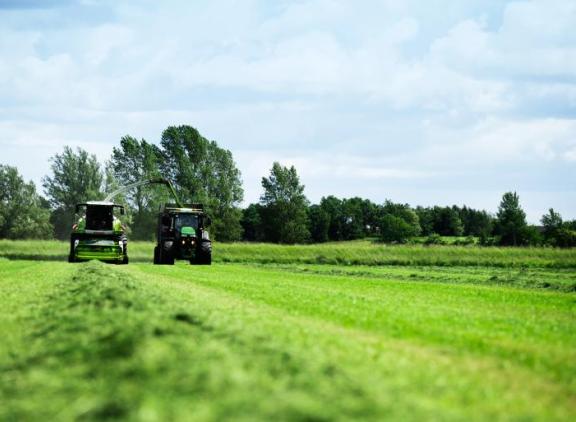 Niet zaaien met de zomer in je rug, maar met de zomer in je hoofd
