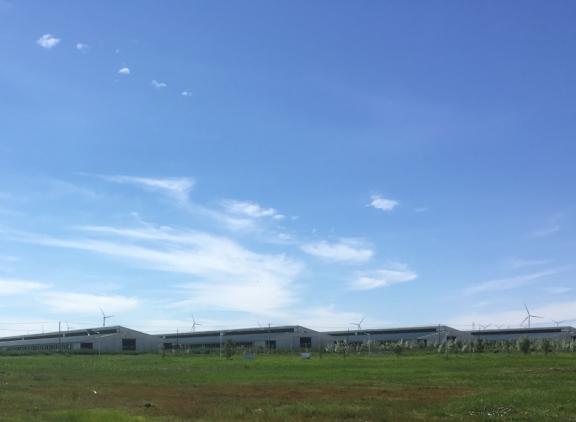 De Dairy Association of China wil dat in 2030 85 procent van de melkkoeien op melkveebedrijven met meer dan 100 stuks melkkoeien wordt gehouden