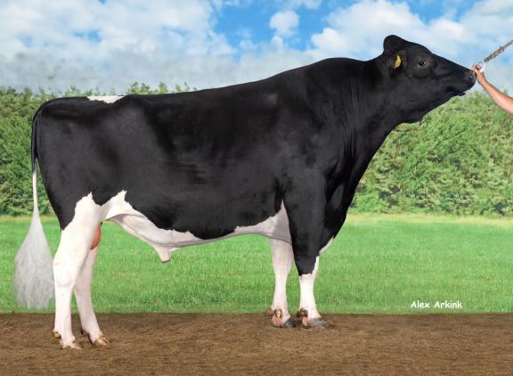 Delta Eloy heeft al meer dan 9000 melkgevende dochters