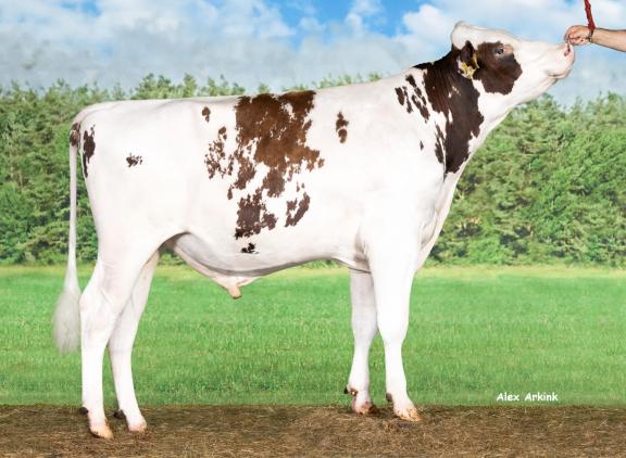 Delta Ratings PP is een van de hoornloze zonen van Delta Primetime PP