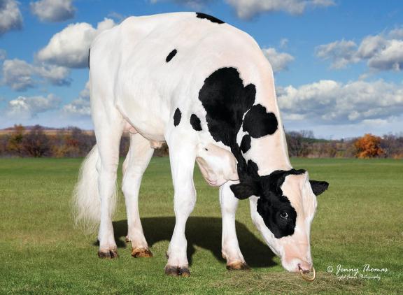 OCD Trooper Sheepster leidt de TPI-lijst met 3464 punten