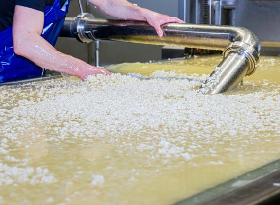 De pH-waarde van de mest kan volgens DLV Advies dalen door de natuurlijke zuren in de wei, waardoor de productie van ammoniak- en methaanemissies wordt geremd