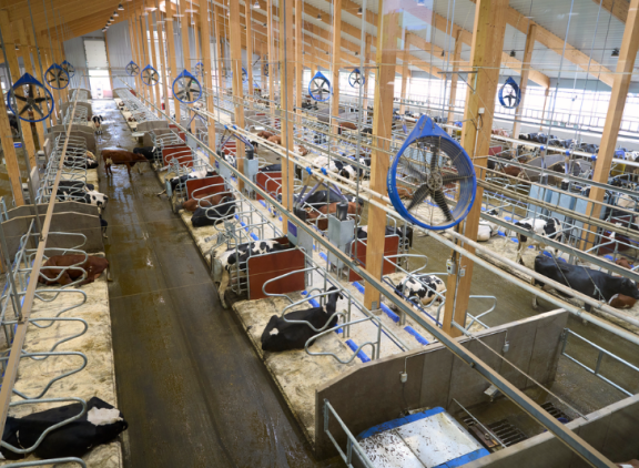 Bovenaanzicht VMS-stal op DeLaval's Hamra Farm in Zweden