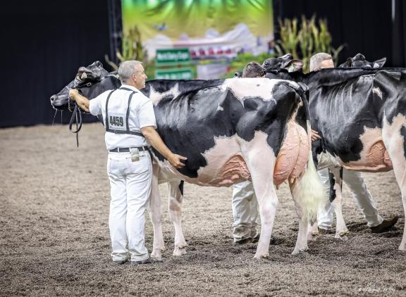 Sadie veroverde in Madison de titel bij de jonge koeien (foto: Guillaume Moy) 