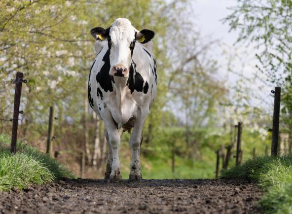 Vanaf een leeftijd van drie jaar krijgen lijders van de nieuwe afwijking te maken met een negatief effect op de levensduur