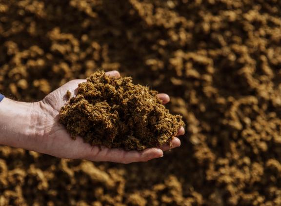 Dikke fractie had de meest positieve effecten onder de grond, kunstmest boven de grond