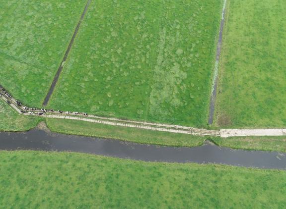 Wageningen Social & Economic Research ziet nog geen effect van de beëindigingsregelingen op de grondprijzen