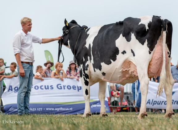 Vrij Zwanenburg 0763 (v. Ranger) wint het algemeen kampioenschap (foto: Els Korsten)