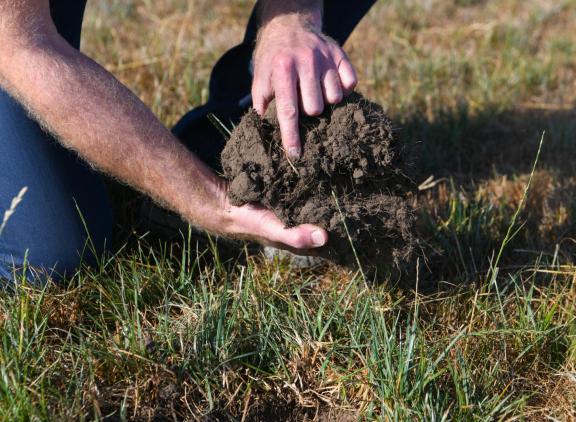 Is het gras kurkdroog en kraakt het bijna, blijf er dan af. 