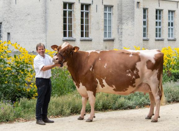 De dagzege in Beveren was voor Doodhoek Olaika (foto: Regine Foket)