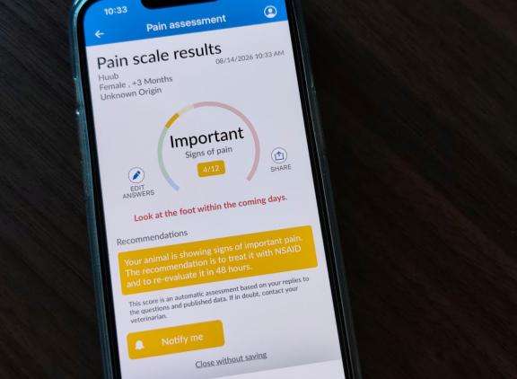 Op basis van verschillende gedragskenmerken volgt een pijnscore, aangevuld met aanbevelingen voor het verminderen en behandelen van pijn
