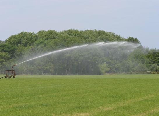 De Marke beregent in het voorjaar gras en in de zomer mais