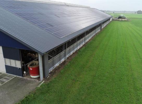 Veehouders krijgen in de duurzaamheidsmatrix van Rabobank onder meer punten voor het opwekken van groene energie