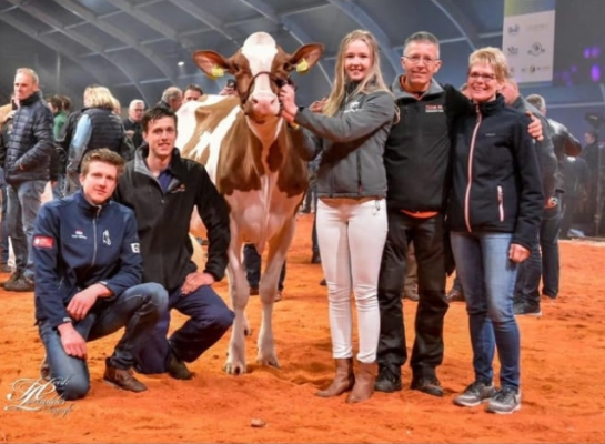 De familie Albring won in 2020 ook de door de HHH-vereniging uitgeloofde titel ‘fokker van het jaar’.(foto: Henk Lomulder)
