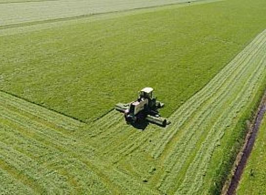 Een hectare grasland was in het tweede kwartaal gemiddeld 63.600 euro waard