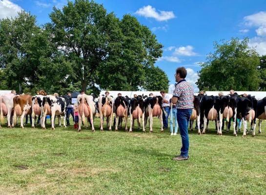 In Vriezenveen gaven elf bedrijfscollecties acte de présence, links de winnende groep van Abbink Melkveehouderij van bedrijfsleider Emiel Willems (foto: Johannes Schipper)