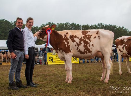 Klarien 62 (v. Attraction) van de familie Schilderinck won de vaarzentitel bij roodbont (foto: Floor Schut)