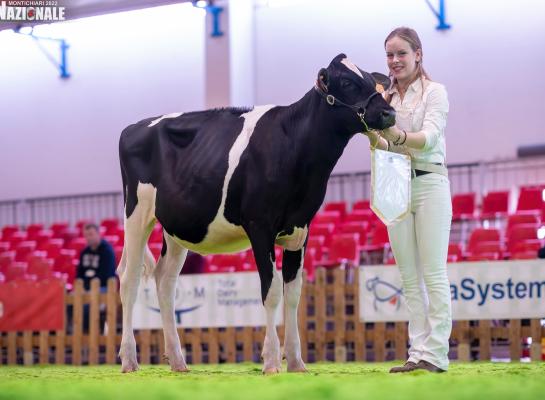 Elise van Ginkel werd in Montichiari onder meer kampioen showmanship 