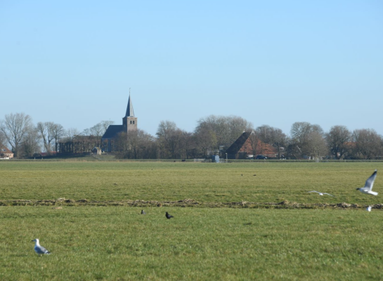In Friesland is landbouwgrond met gemiddeld ruim 56.000 euro het goedkoopst