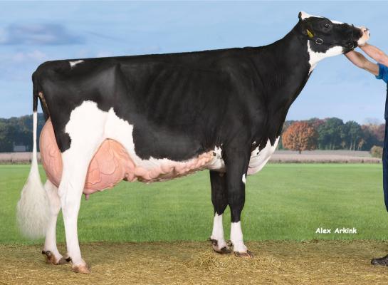 Als honderdtonner won New Moore Esmeralda 38 het algemeen kampioenschap op de HHH-show
