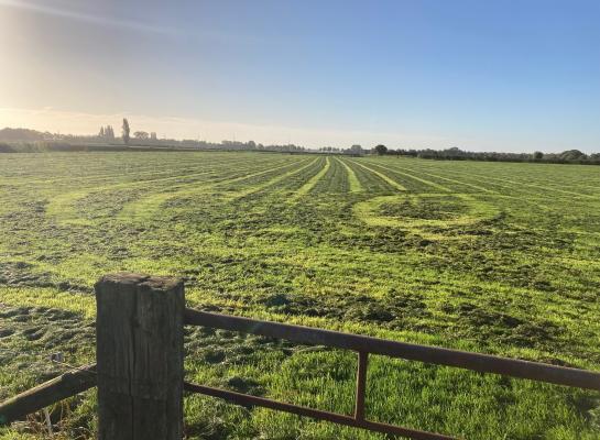 Het is niet eenvoudig meer om een maaisnede nog mooi droog in te kuilen