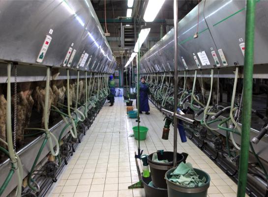 De gevolgen van de oorlog treffen niet alleen Oekraïne en Rusland, maar raakt volgens Smits door de stagnerende voedselproductie ook de rest van Europa en de wereld