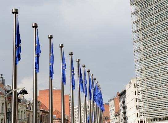 Landbouworganisaties stellen Vlaanderen in gebreke over niet-uitvoering GLB