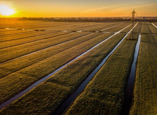 Water heeft veel invloed op het vrijkomen van CO2 en stikstof uit veenweidebodems